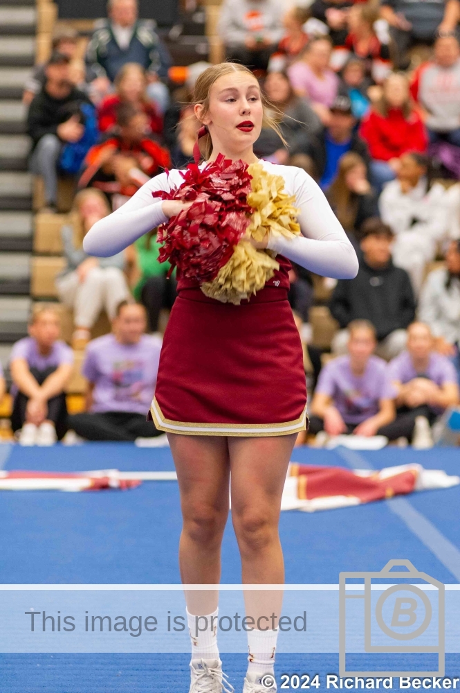 DSC 7078 (1) (1)